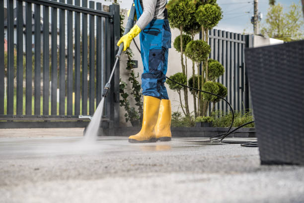 Best Dumpster Area Cleaning  in Auburn, CA